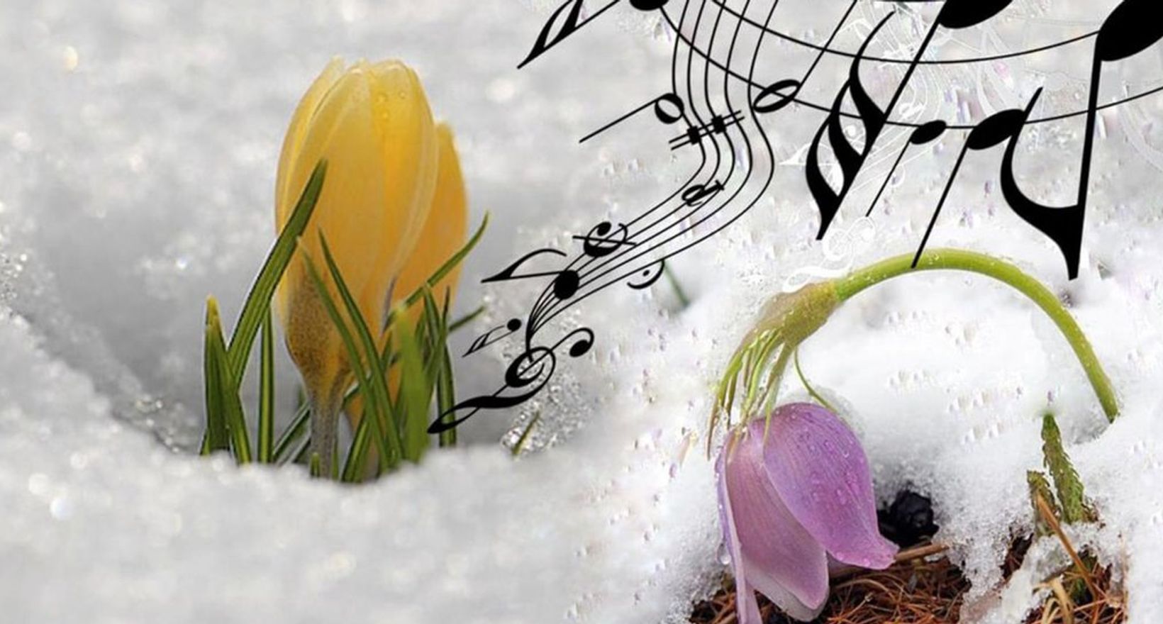 Музыка весны сценарий. Весенние музыкальные картинки. Музыка весны картинки.