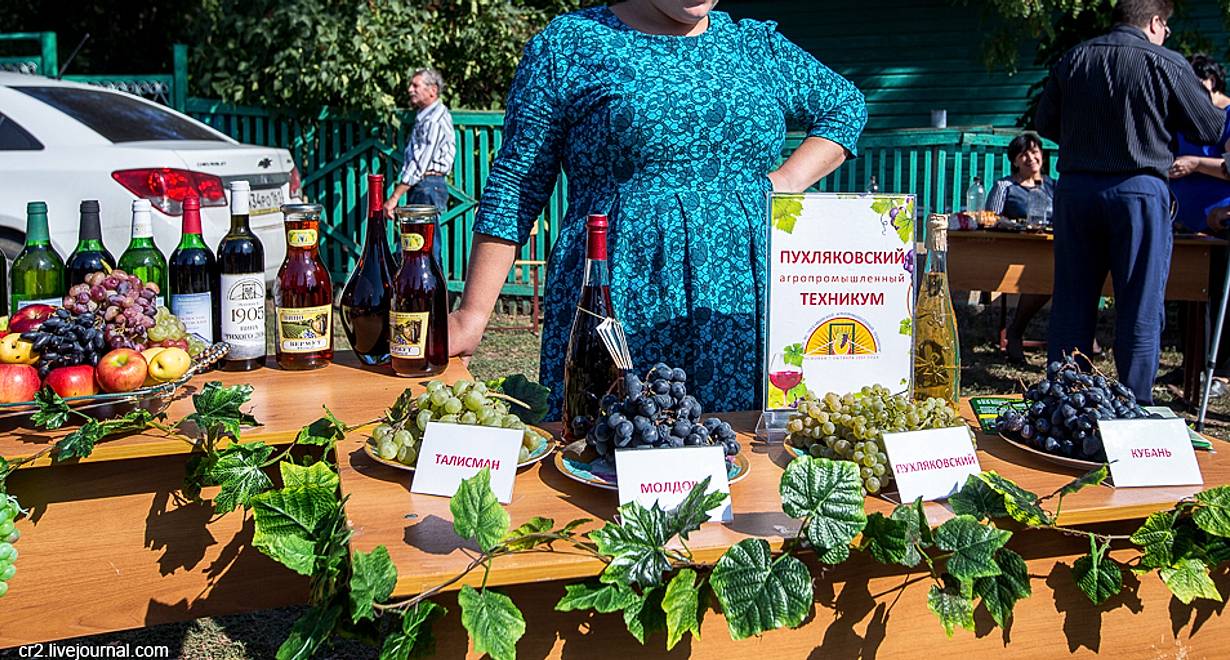 «История школы виноградарства и виноделия на Дону»