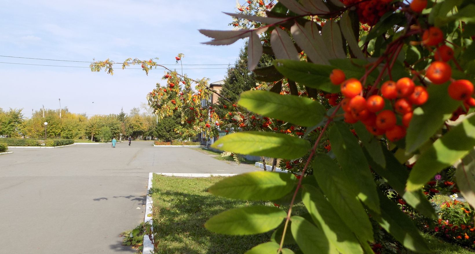 Пешеходная экскурсия по городу Боготолу