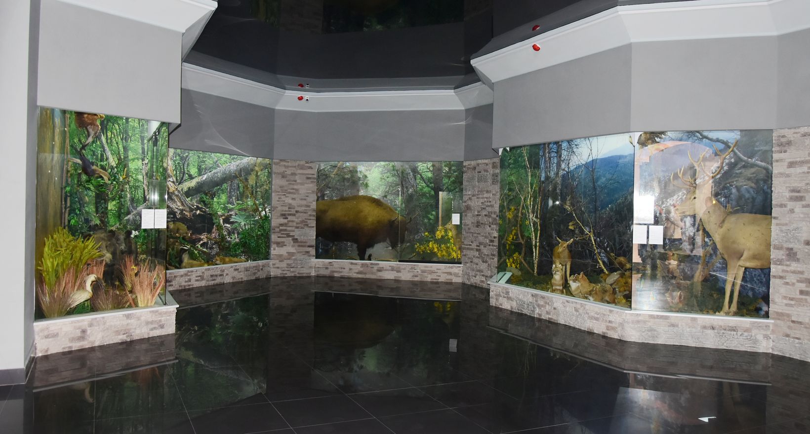 Экспозиции Национального музея Республики Адыгея