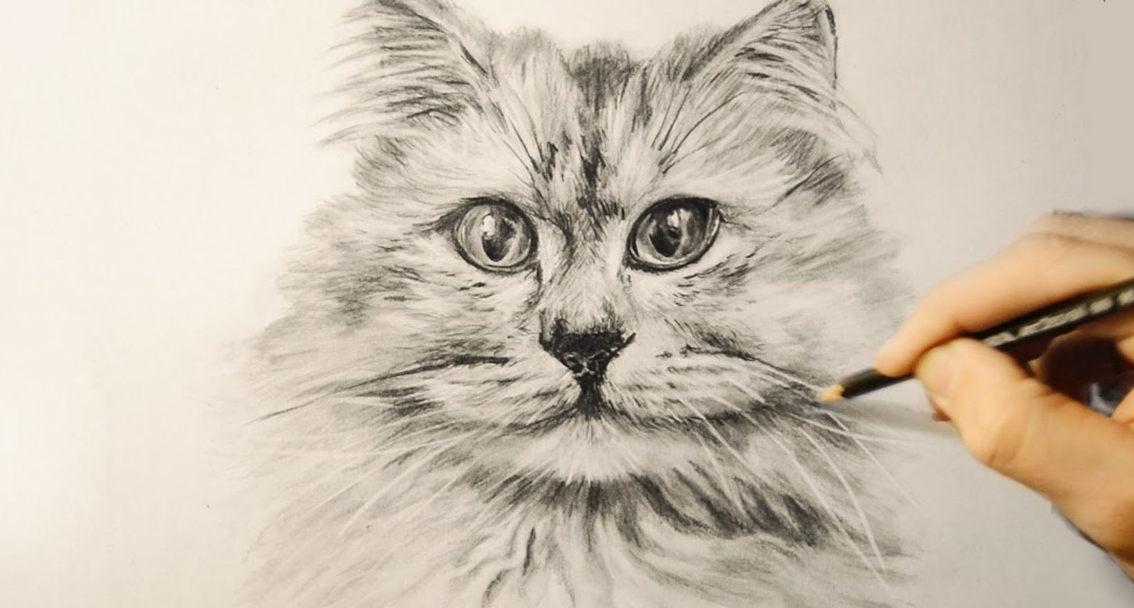 Pencil cats. Рисунки карандашом. Кошка карандашом. Котик карандашом. Рисование кошки.