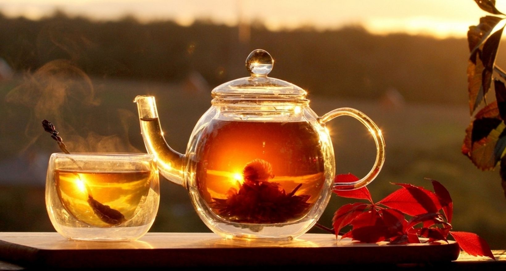 Познавательная программа «Традиции чаепития»