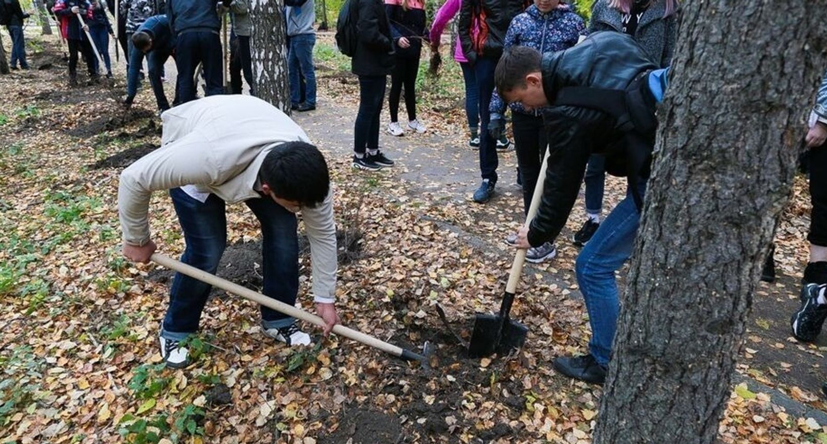 Молодые люди. Год полезных дел