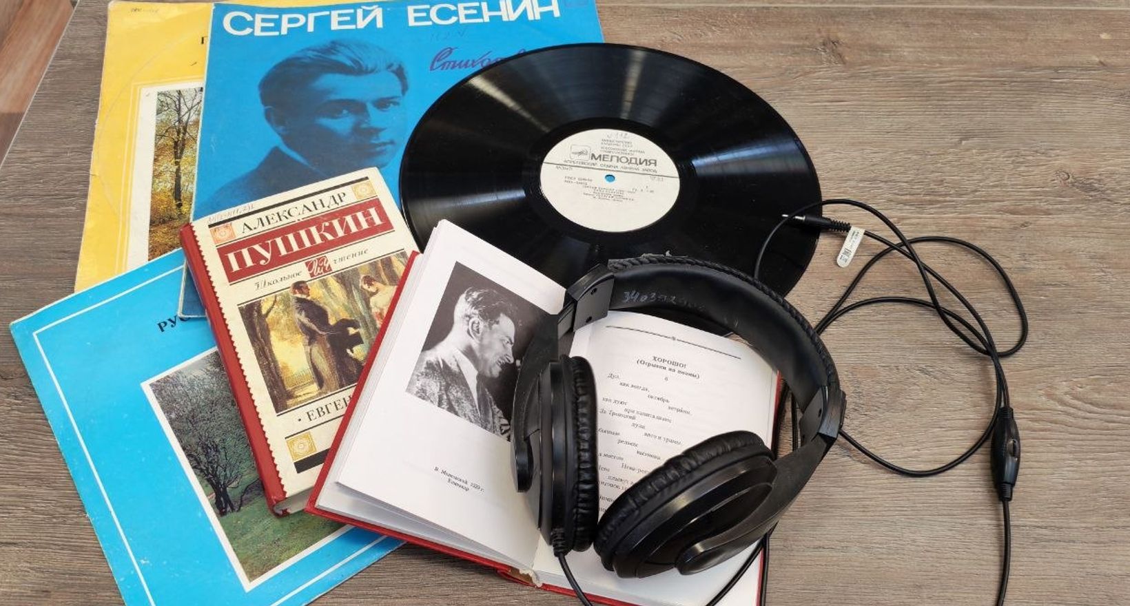 Встреча «Классика на слуху: от текста к биту»