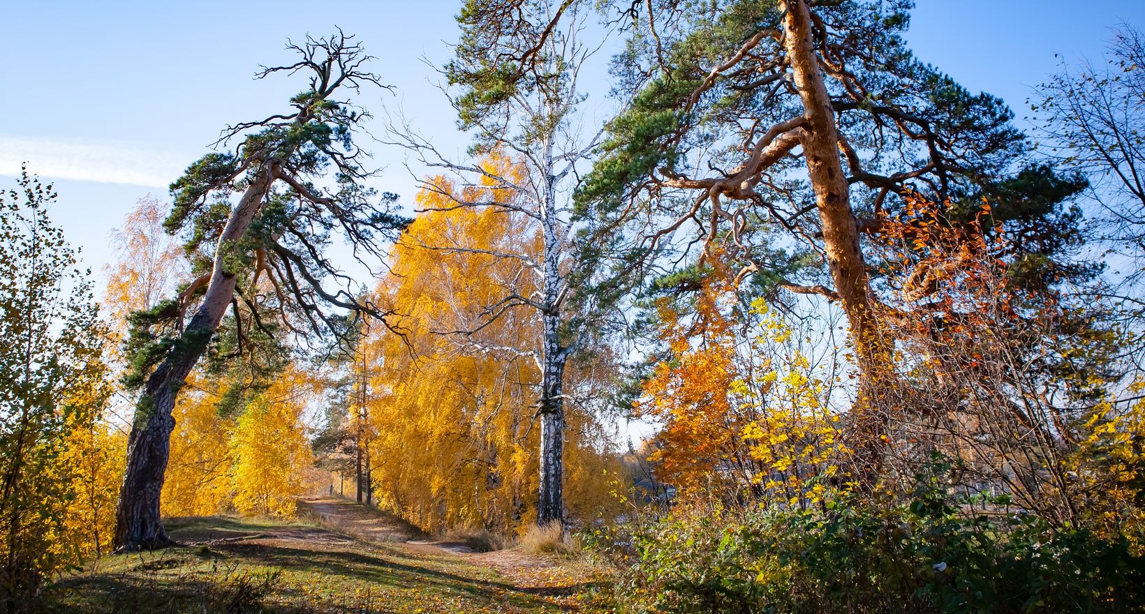Экскурсия «Утраченные храмы Городца»