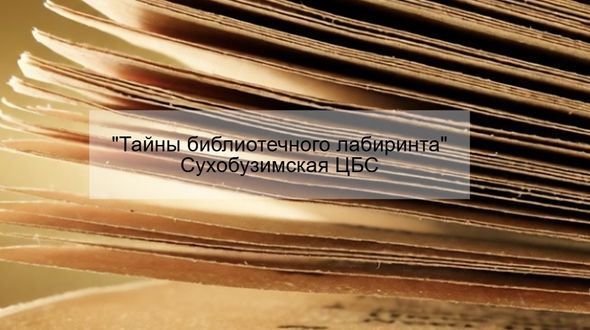 «Тайны библиотечного лабиринта»