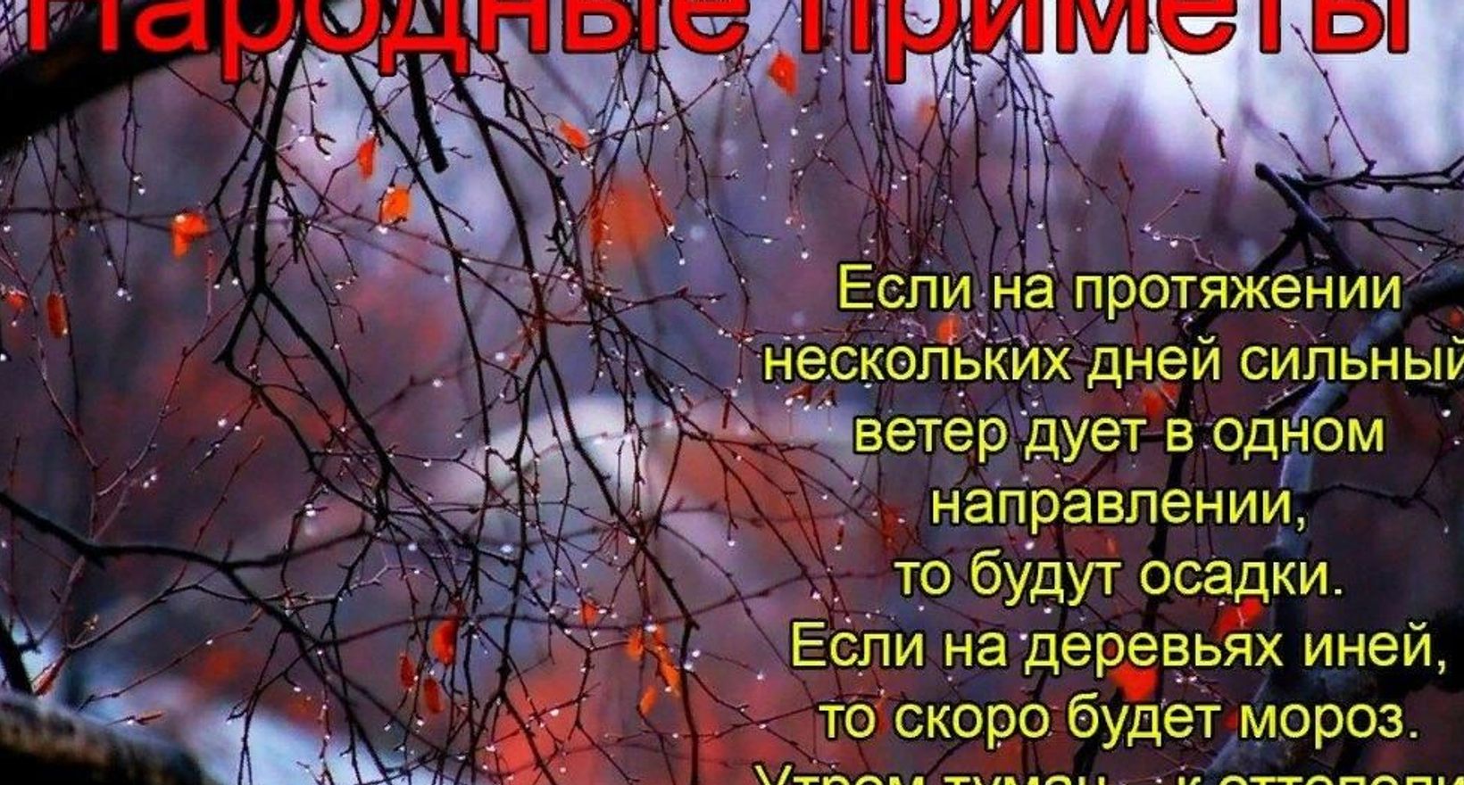 Программа «Приметы и поверья»