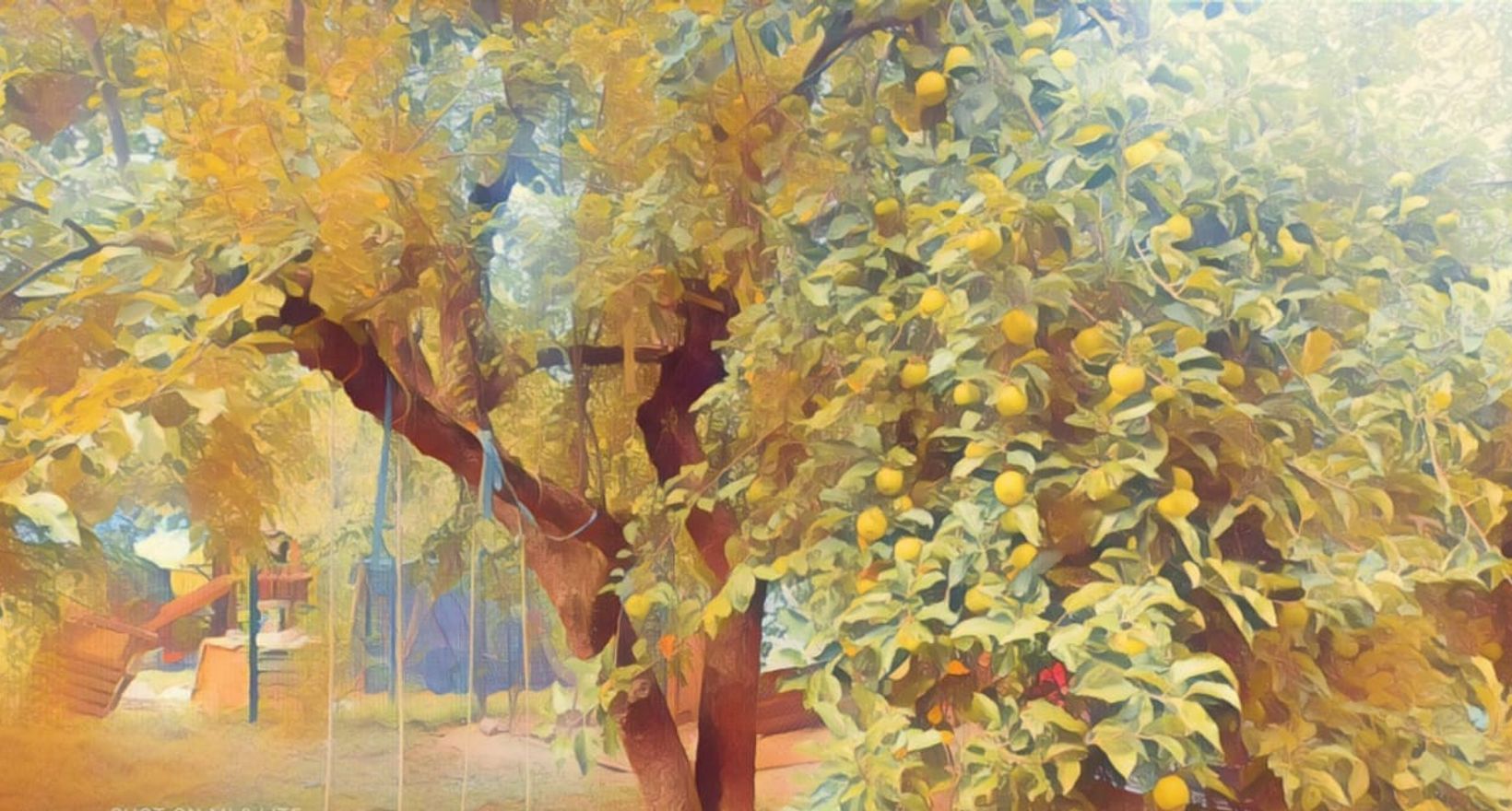 Персональная выставка Яшниковой С.В.