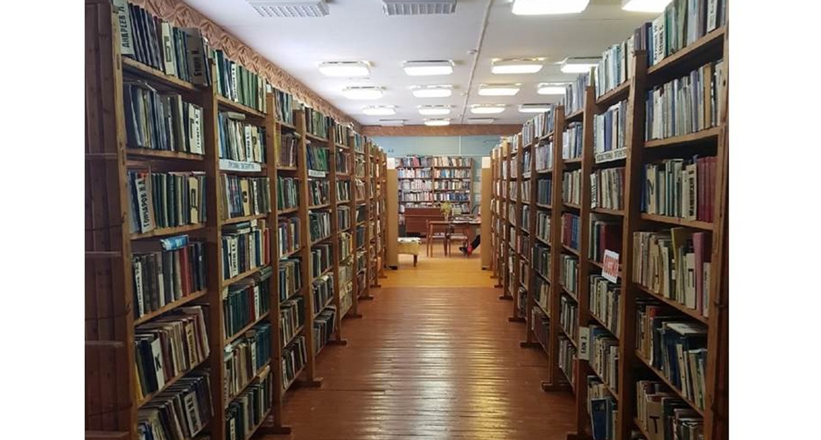 Двинская библиотека