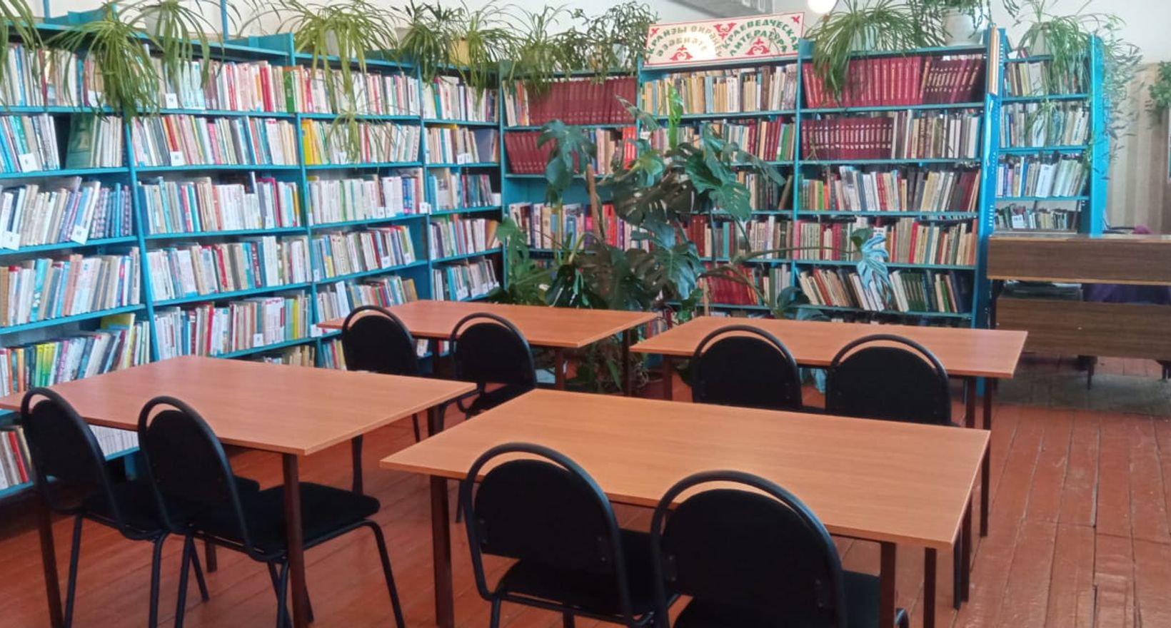 Знаменская поселенческая библиотека