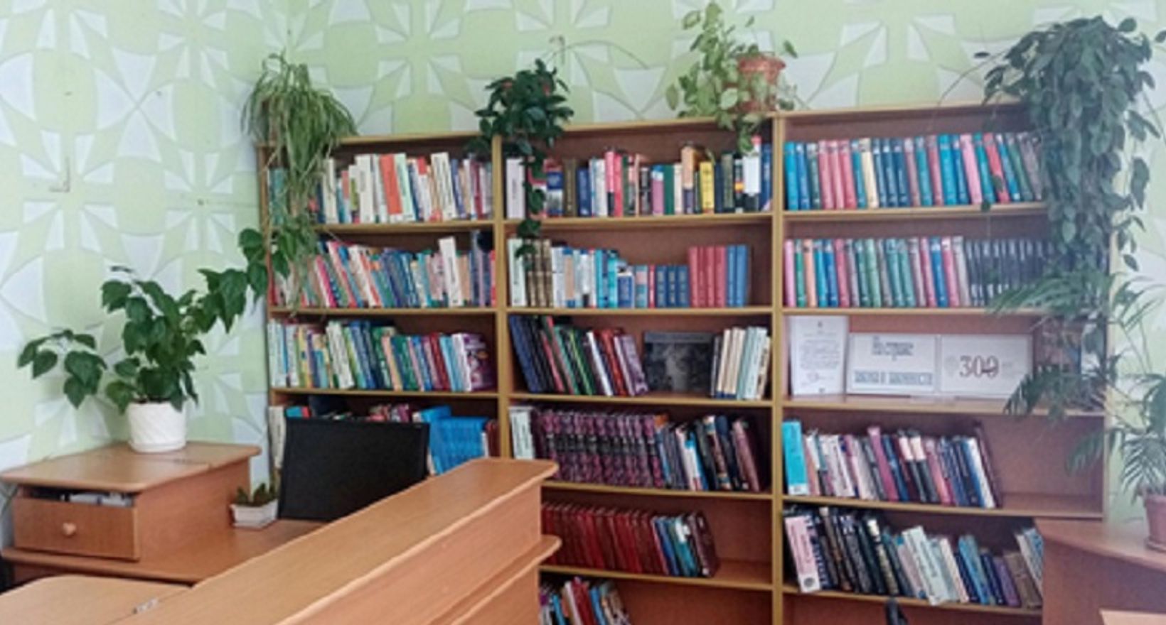 Талашкинская сельская библиотека