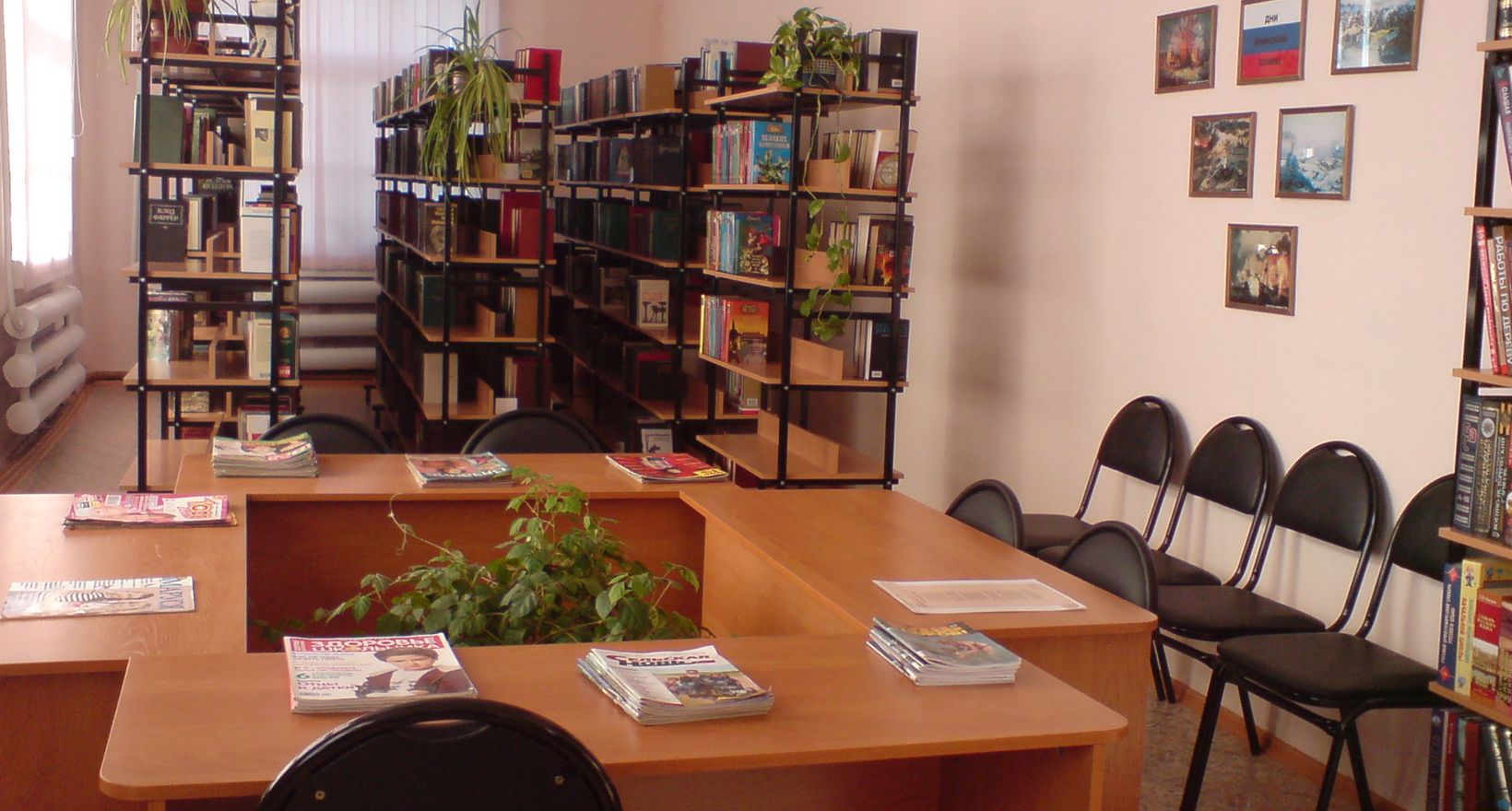 Падунская модельная сельская библиотека